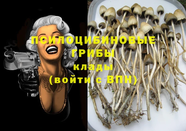 прущая мука Касимов
