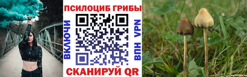 Галлюциногенные грибы мухоморы  цена наркотик  Краснокаменск 